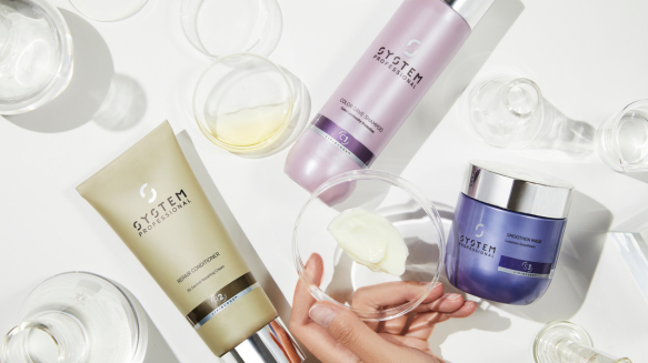 Ontdek System Professional