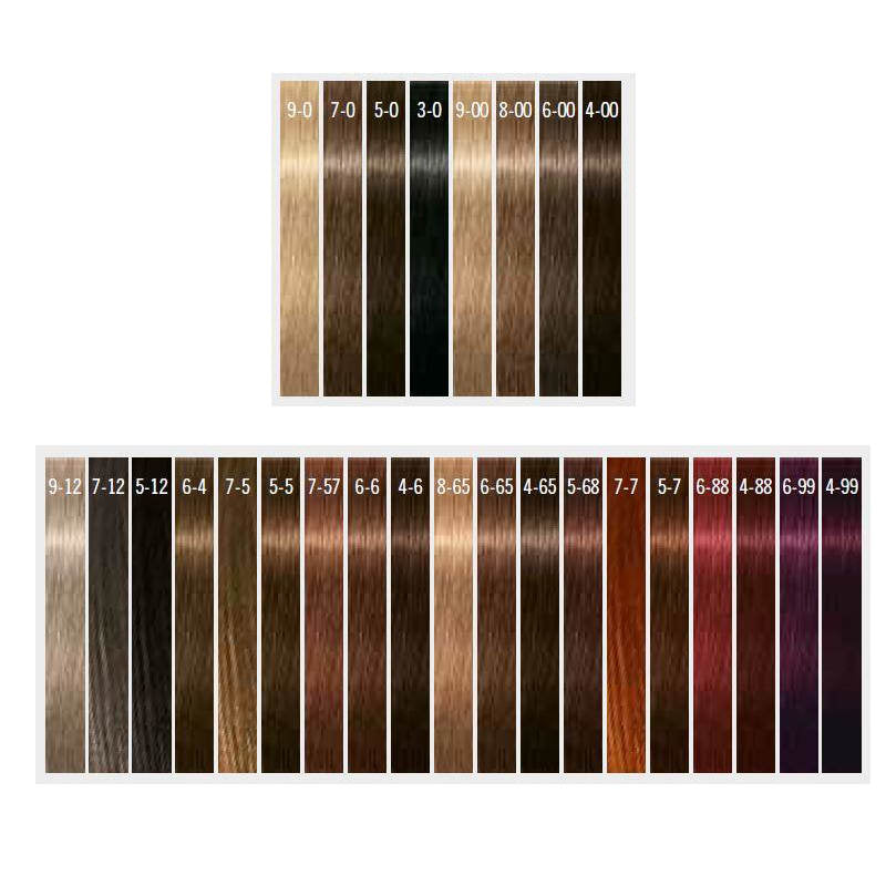 Schwarzkopf Igora Royal Color 10 Haarverf Colors