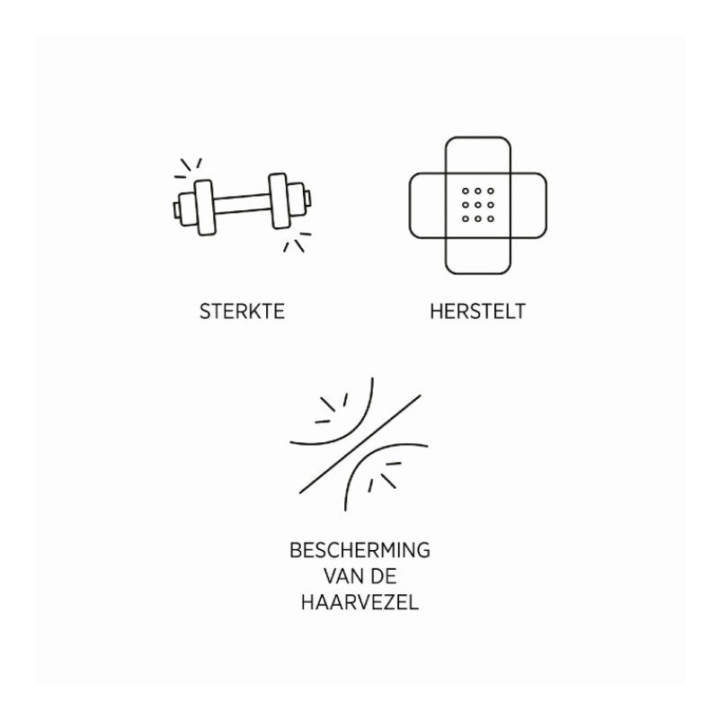 System Professional Extra Liquid Hair werking