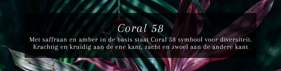 Janzen Coral 58