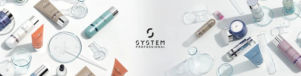 System Professional Styling